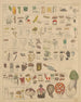 Illustrationen für die Allgemeine Naturgeschichte von Oken für alle Klassen Pl005 - Lorenz Oken — Ansicht des Kunstwerks
