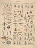 Illustrationen für die Allgemeine Naturgeschichte von Oken für alle Klassen Pl081 - Lorenz Oken — Ansicht des Kunstwerks