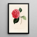 Iconographie du genre Camellia Pl069 - Lorenzo Bartolini — gerahmtes Bild an der Wand