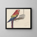 Papagei - Louis-Charles Bombled — gerahmtes Bild an der Wand