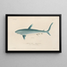 Reise um die Welt Pl008 - Louis-Isidore Duperrey — gerahmtes Bild an der Wand