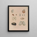 Reise um die Welt Pl. 060 - Louis-Isidore Duperrey — gerahmtes Bild an der Wand