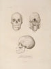 Reise um die Welt Pl104 - Louis-Isidore Duperrey — Ansicht des Kunstwerks