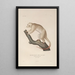 Reise um die Welt Pl109 - Louis-Isidore Duperrey — gerahmtes Bild an der Wand