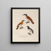 Reise um die Welt Pl118 - Louis-Isidore Duperrey — gerahmtes Bild an der Wand