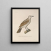 Reise um die Welt Pl123 - Louis-Isidore Duperrey — gerahmtes Bild an der Wand