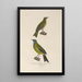 Reise um die Welt Pl124 - Louis-Isidore Duperrey — gerahmtes Bild an der Wand