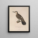 Voyage autour du monde Pl137 - Louis-Isidore Duperrey — gerahmtes Bild an der Wand