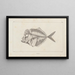 Recherches sur les poissons fossiles Pl001 - Louis Agassiz — gerahmtes Bild an der Wand