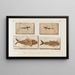 Recherches sur les poissons fossiles Pl059 - Louis Agassiz — gerahmtes Bild an der Wand