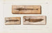 Recherches sur les poissons fossiles Pl060 - Louis Agassiz — Ansicht des Kunstwerks