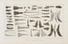 Recherches sur les poissons fossiles Pl069 - Louis Agassiz — Ansicht des Kunstwerks