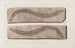 Recherches sur les poissons fossiles Pl071 - Louis Agassiz — Ansicht des Kunstwerks