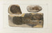 Recherches sur les poissons fossiles Pl077 - Louis Agassiz — Ansicht des Kunstwerks