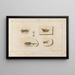 Recherches sur les poissons fossiles Pl083 - Louis Agassiz — gerahmtes Bild an der Wand