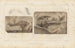Recherches sur les poissons fossiles Pl116 - Louis Agassiz — Ansicht des Kunstwerks