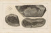 Recherches sur les poissons fossiles Pl120 - Louis Agassiz — Ansicht des Kunstwerks