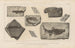 Recherches sur les poissons fossiles Pl136 - Louis Agassiz — Ansicht des Kunstwerks