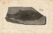 Recherches sur les poissons fossiles Pl141 - Louis Agassiz — Ansicht des Kunstwerks