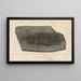 Recherches sur les poissons fossiles Pl142 - Louis Agassiz — gerahmtes Bild an der Wand