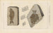 Recherches sur les poissons fossiles Pl152 - Louis Agassiz — Ansicht des Kunstwerks