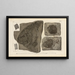 Recherches sur les poissons fossiles Pl155 - Louis Agassiz — gerahmtes Bild an der Wand