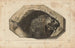 Recherches sur les poissons fossiles Pl161 - Louis Agassiz — Ansicht des Kunstwerks