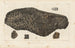 Recherches sur les poissons fossiles Pl. 178 - Louis Agassiz — Ansicht des Kunstwerks