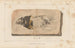 Recherches sur les poissons fossiles Pl186 - Louis Agassiz — Ansicht des Kunstwerks