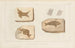 Recherches sur les poissons fossiles Pl. 197 - Louis Agassiz — Ansicht des Kunstwerks