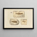 Recherches sur les Poissons Fossiles Pl207 - Louis Agassiz — gerahmtes Bild an der Wand