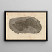 Recherches sur les poissons fossiles Pl213 - Louis Agassiz — gerahmtes Bild an der Wand