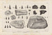 Recherches sur les poissons fossiles Pl214 - Louis Agassiz — Ansicht des Kunstwerks