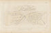 Recherches sur les poissons fossiles Pl230 - Louis Agassiz — Ansicht des Kunstwerks