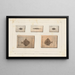 Recherches sur les poissons fossiles Pl251 - Louis Agassiz — gerahmtes Bild an der Wand