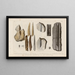 Recherches sur les poissons fossiles Pl. 282 - Louis Agassiz — gerahmtes Bild an der Wand