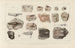 Recherches sur les poissons fossiles Pl289 - Louis Agassiz — Ansicht des Kunstwerks