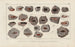 Recherches sur les poissons fossiles Pl292 - Louis Agassiz — Ansicht des Kunstwerks
