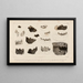 Recherches sur les poissons fossiles Pl297 - Louis Agassiz — gerahmtes Bild an der Wand