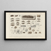 Recherches sur les poissons fossiles Pl299 - Louis Agassiz — gerahmtes Bild an der Wand