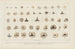 Recherches sur les poissons fossiles Pl302 - Louis Agassiz — Ansicht des Kunstwerks