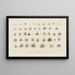 Recherches sur les poissons fossiles Pl302 - Louis Agassiz — gerahmtes Bild an der Wand