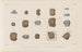 Recherches sur les poissons fossiles Pl304 - Louis Agassiz — Ansicht des Kunstwerks