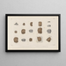 Recherches sur les poissons fossiles Pl304 - Louis Agassiz — gerahmtes Bild an der Wand