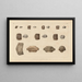 Recherches sur les poissons fossiles Pl305 - Louis Agassiz — gerahmtes Bild an der Wand