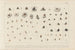 Recherches sur les poissons fossiles Pl308 - Louis Agassiz — Ansicht des Kunstwerks