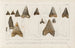Recherches sur les poissons fossiles Pl313 - Louis Agassiz — Ansicht des Kunstwerks