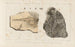 Recherches sur les poissons fossiles Pl332 - Louis Agassiz — Ansicht des Kunstwerks