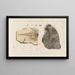 Recherches sur les poissons fossiles Pl332 - Louis Agassiz — gerahmtes Bild an der Wand