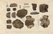 Recherches sur les poissons fossiles Pl335 - Louis Agassiz — Ansicht des Kunstwerks